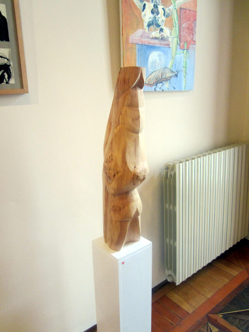 Varese - Sale Nicolini