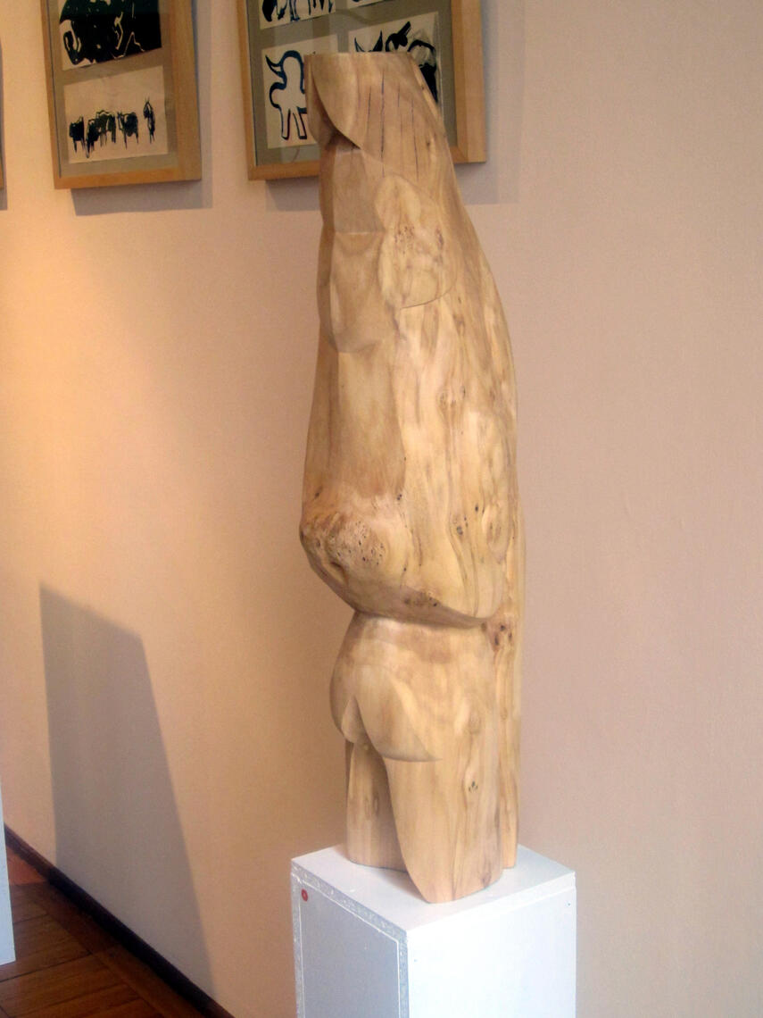 Varese - Sale Nicolini